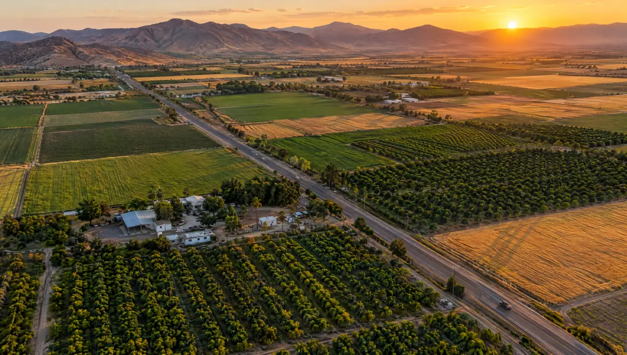 Parcelas y huertas de cítricos vistas desde el aire al atardecer